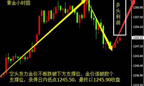 金价震荡反弹后续_金价震荡反弹后续走势