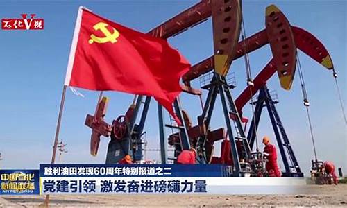 中国石化2021年油价表_中国石化2020年油价