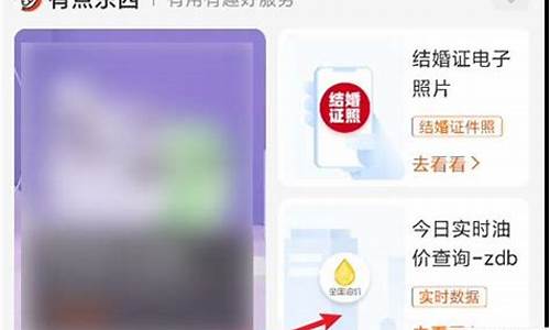 支付宝怎么看油价_支付宝查实时油价准吗